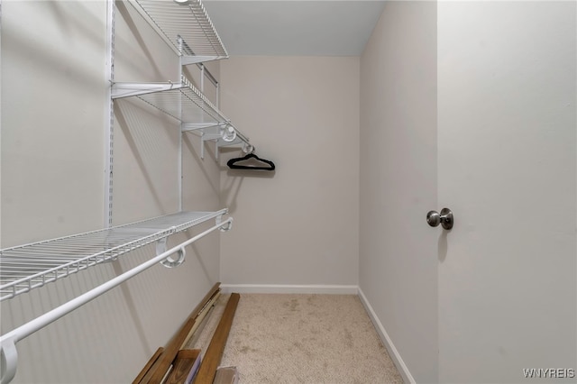 spacious closet with light colored carpet