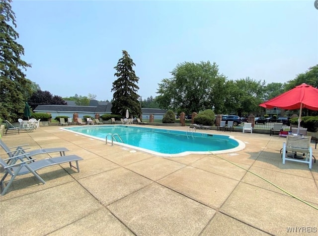 view of swimming pool with a patio