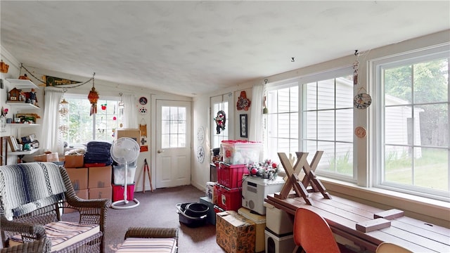 interior space featuring plenty of natural light and lofted ceiling