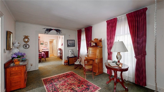 sitting room with dark carpet