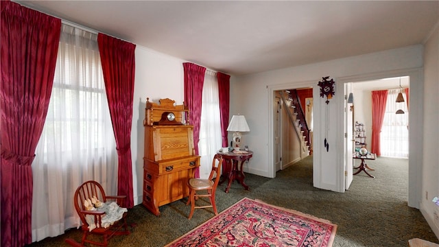 living area featuring dark carpet and ornamental molding