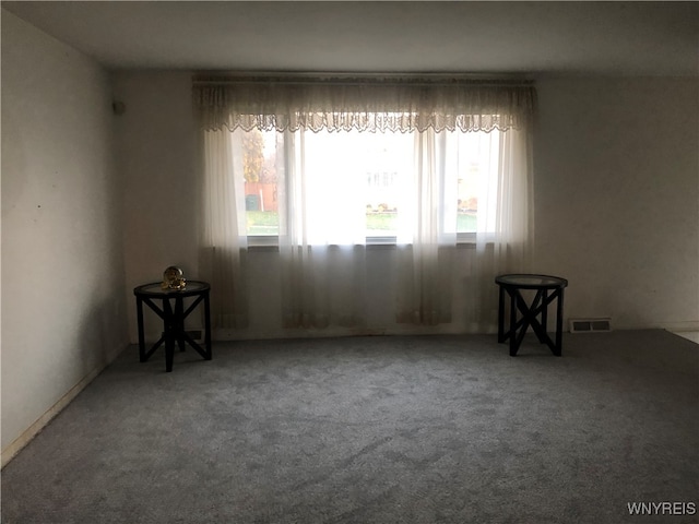 unfurnished room with carpet and a healthy amount of sunlight