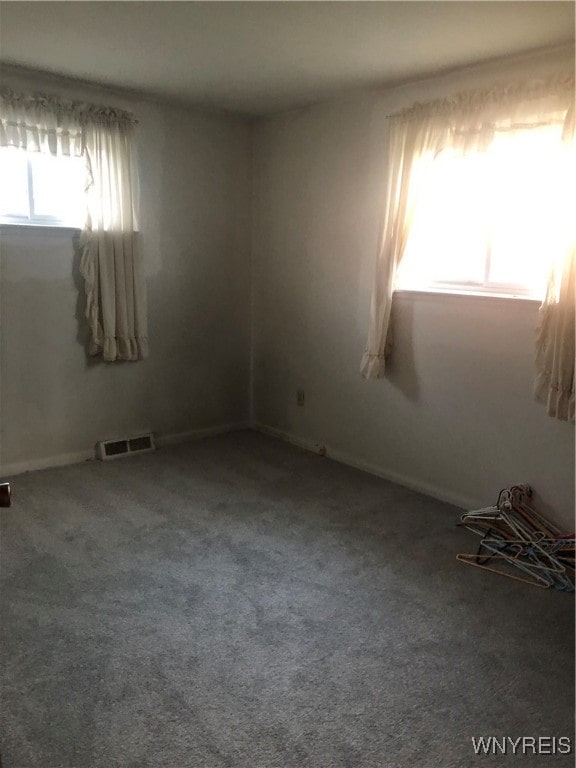 carpeted empty room featuring plenty of natural light