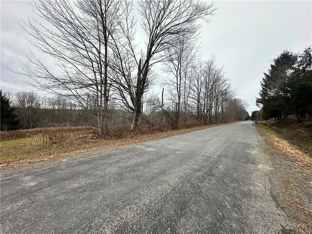 Kostenko Sutton Rd, Pitcher NY, 13801 land for sale