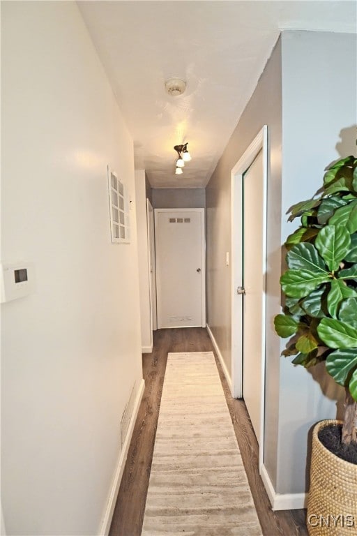 hallway featuring dark wood-type flooring