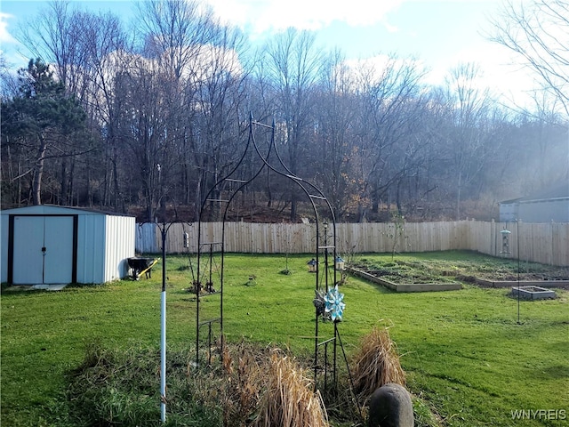 view of yard featuring a storage unit