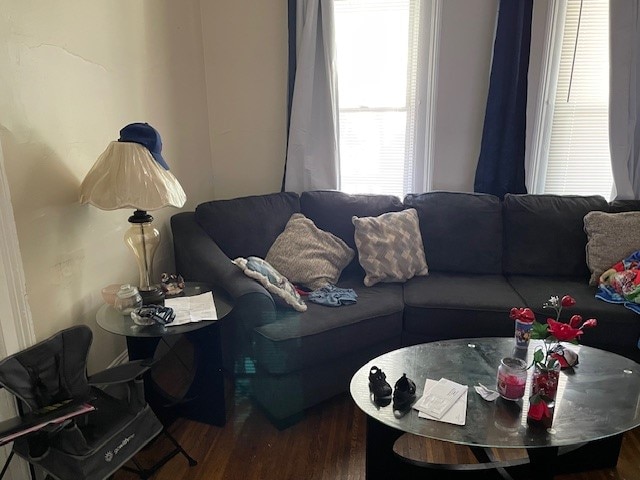 living room featuring hardwood / wood-style floors