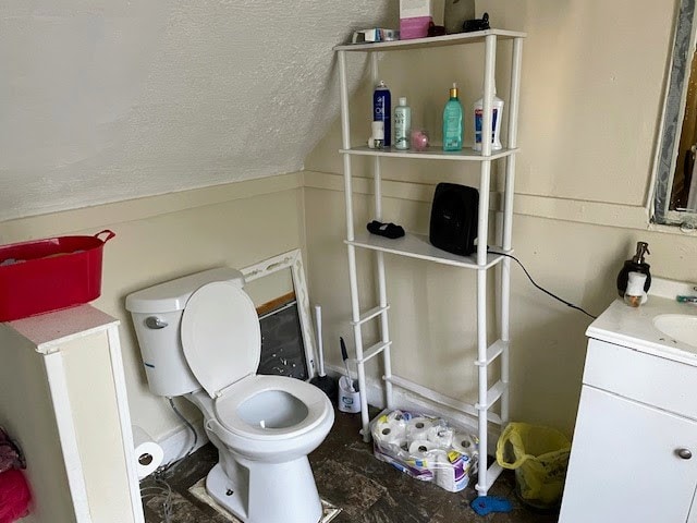 bathroom with vanity and toilet