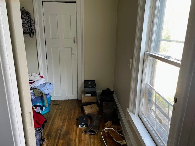 interior space with a healthy amount of sunlight and dark hardwood / wood-style floors