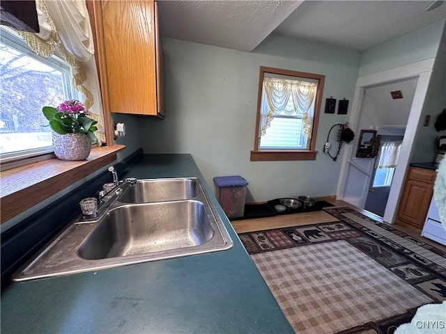 kitchen featuring sink