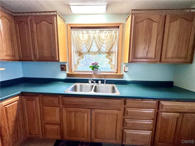 kitchen with a textured ceiling and sink