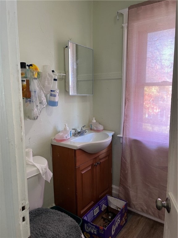 bathroom with hardwood / wood-style floors and vanity