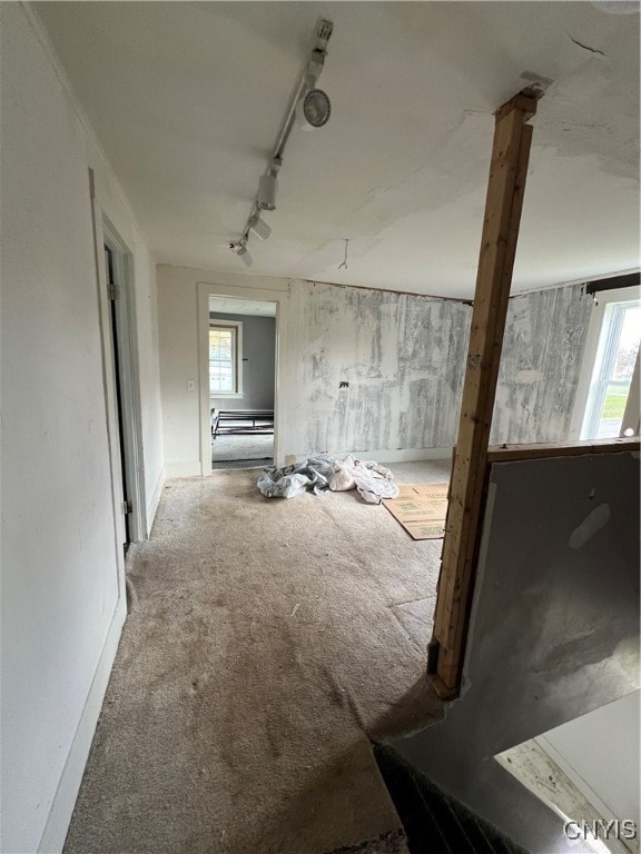 misc room featuring carpet, plenty of natural light, and rail lighting