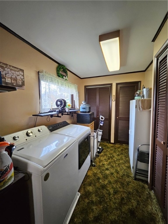 clothes washing area with dark colored carpet, separate washer and dryer, and ornamental molding