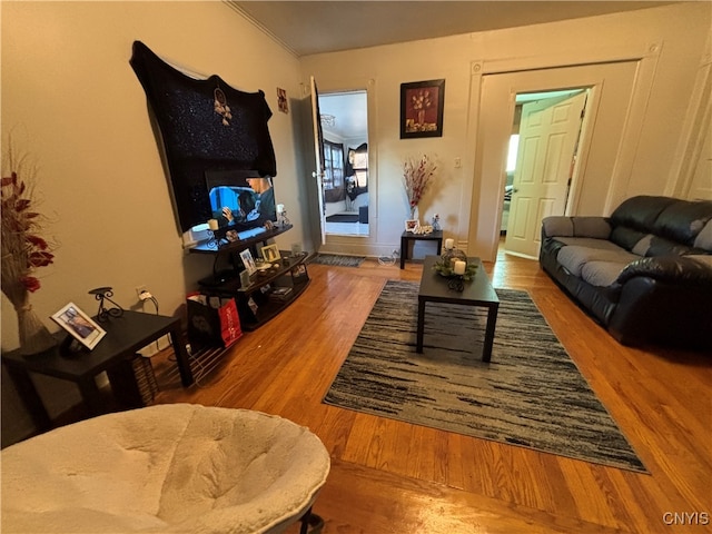 living room with hardwood / wood-style floors