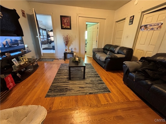 living room with wood-type flooring