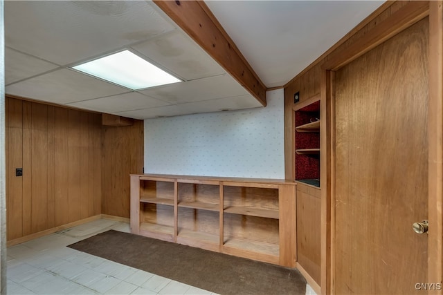 basement with wooden walls