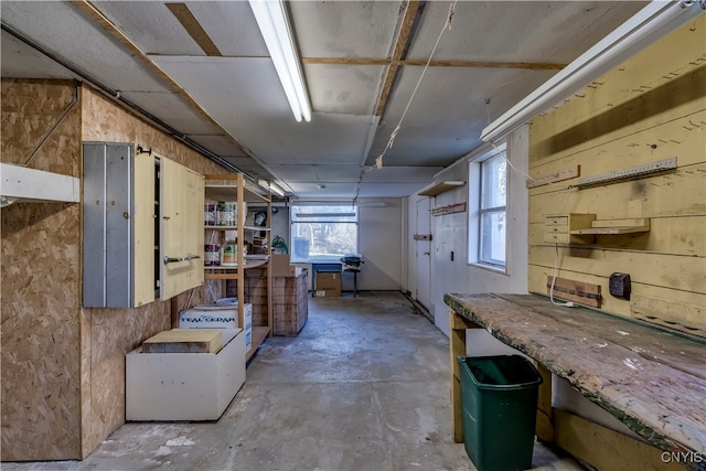 basement with wood walls