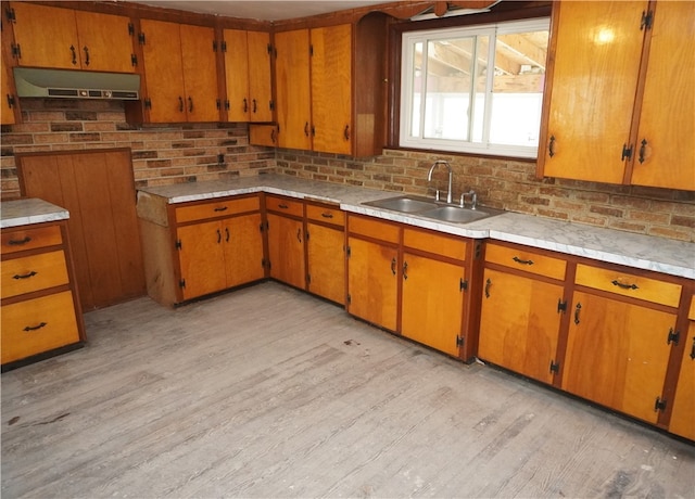 kitchen featuring light wood-type flooring, sink, and tasteful backsplash