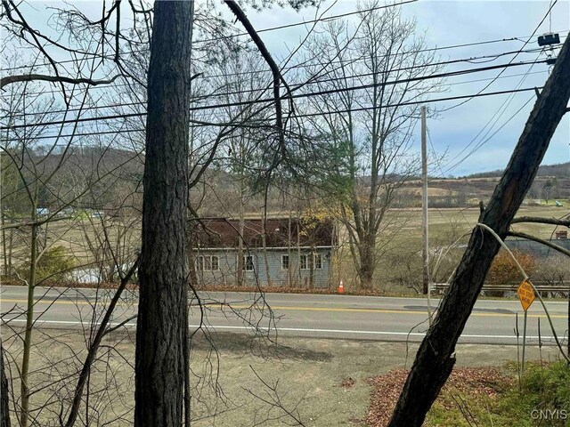373B N Shore Rd, Cuba, NY 14727 - view of yard