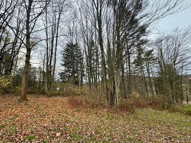 373B N Shore Rd, Cuba, NY 14727 - view of nature