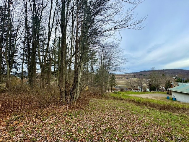 view of yard with a rural view