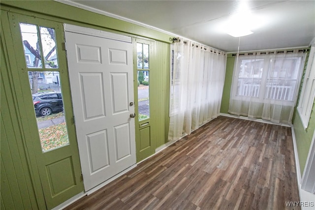 entrance foyer featuring wood-type flooring