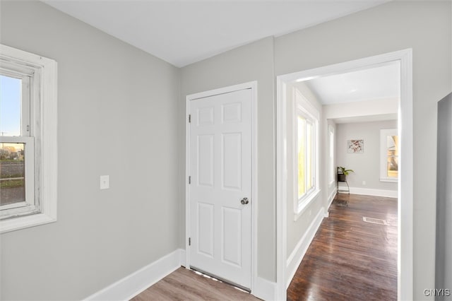 hall with hardwood / wood-style floors and a healthy amount of sunlight