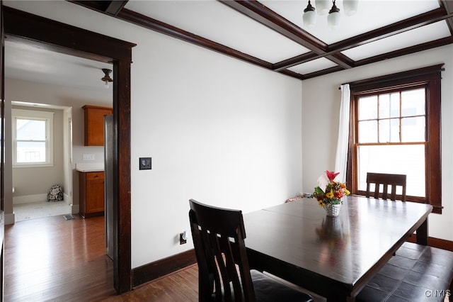 dining room with beamed ceiling, dark hardwood / wood-style floors, a wealth of natural light, and coffered ceiling