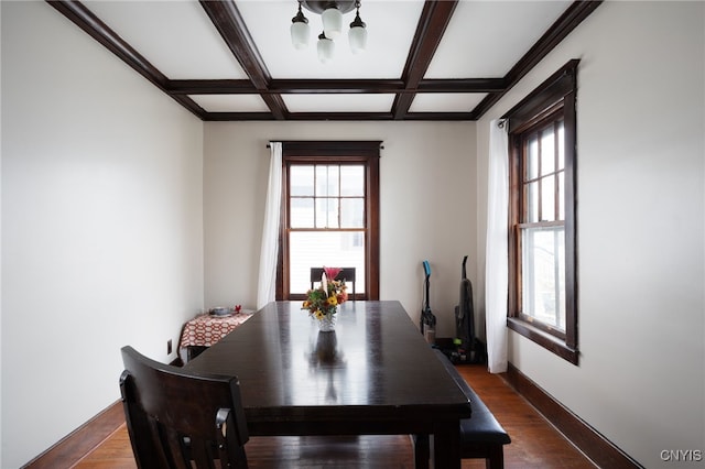 dining room with dark hardwood / wood-style flooring, a healthy amount of sunlight, and coffered ceiling