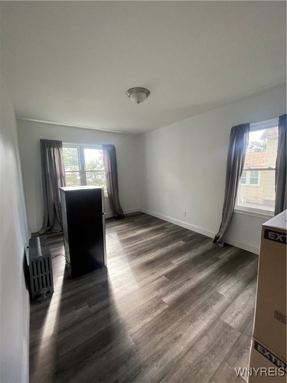 unfurnished room with dark hardwood / wood-style floors and plenty of natural light