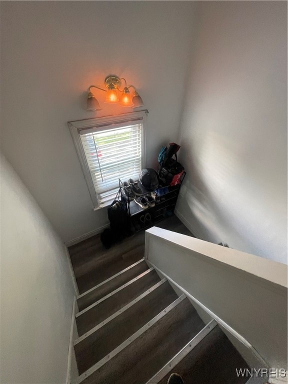 stairway with wood-type flooring