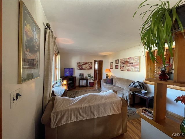 living room featuring hardwood / wood-style floors