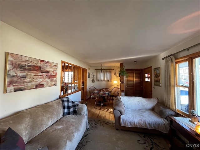 living room with dark hardwood / wood-style floors