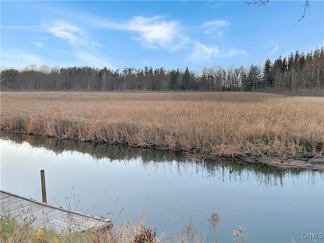 14 Mona Ln, Sandy Creek, NY 13145 - water view with a heavily wooded area