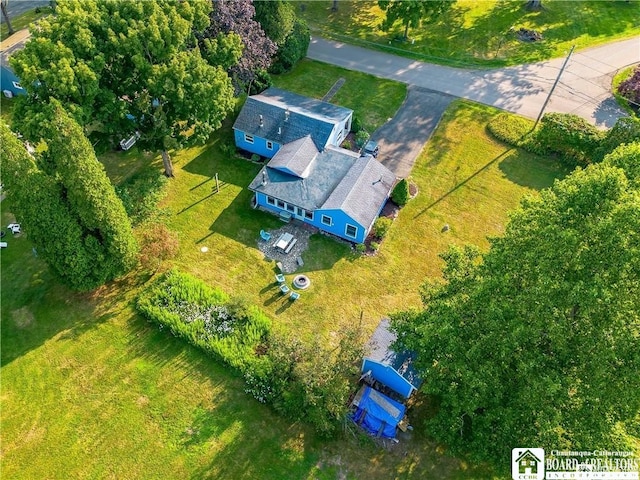 bird's eye view