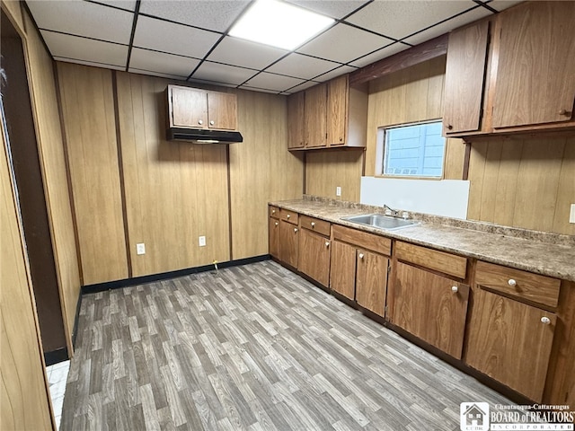 kitchen featuring wooden walls, sink, and light wood-type flooring