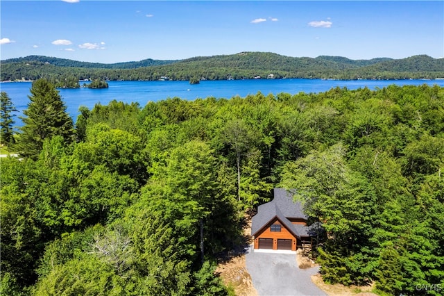 birds eye view of property featuring a water and mountain view