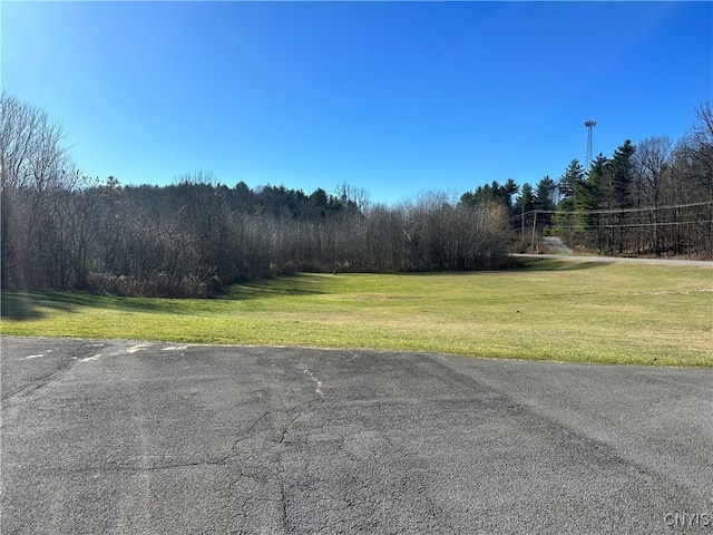 7002 State Route 3, Diana NY, 13648 land for sale