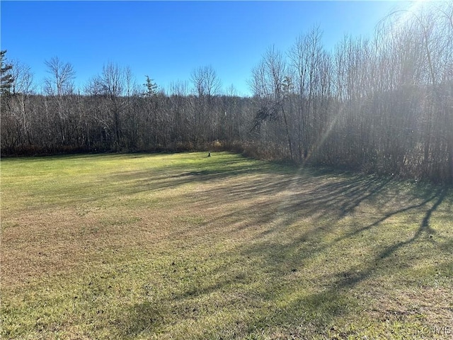 7002 State Route 3, Diana, NY 13648 - photo 2