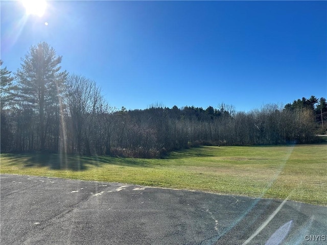 7002 State Route 3, Diana, NY 13648 - photo 3
