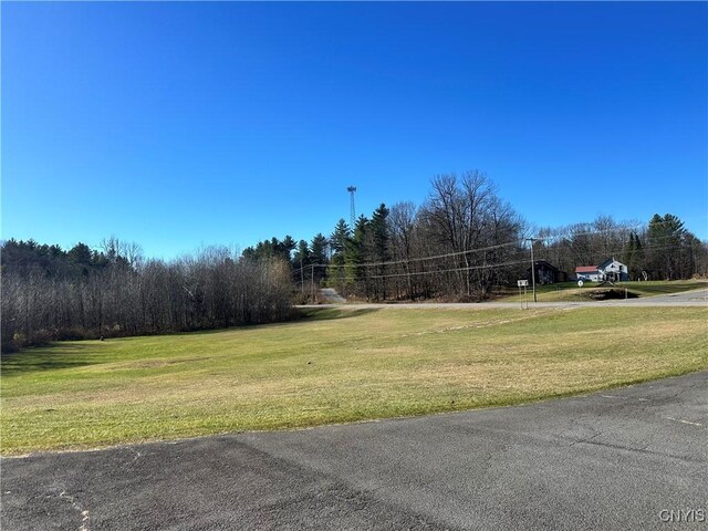 7002 State Route 3, Diana, NY 13648 - photo 4