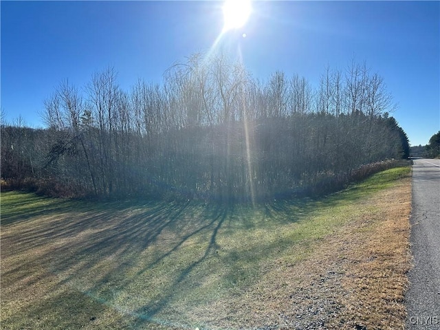 7002 State Route 3, Diana, NY 13648 - photo 5