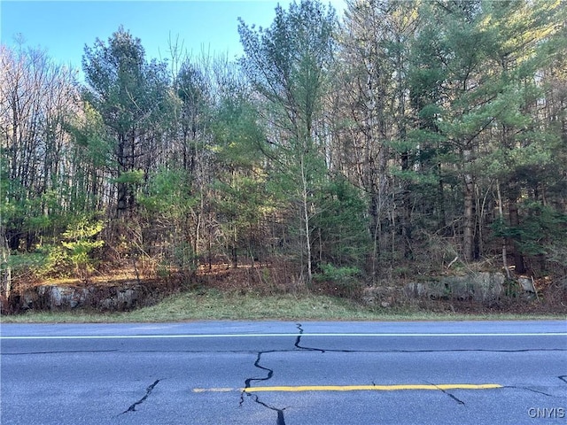 7002 State Route 3, Diana, NY 13648 - photo 6