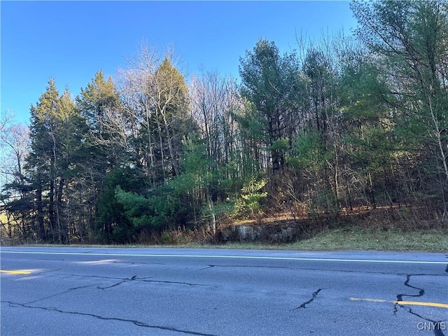 7002 State Route 3, Diana, NY 13648 - photo 8