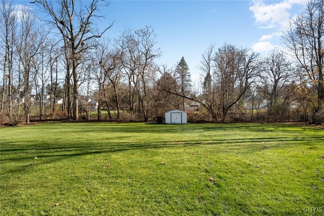 view of yard with a shed