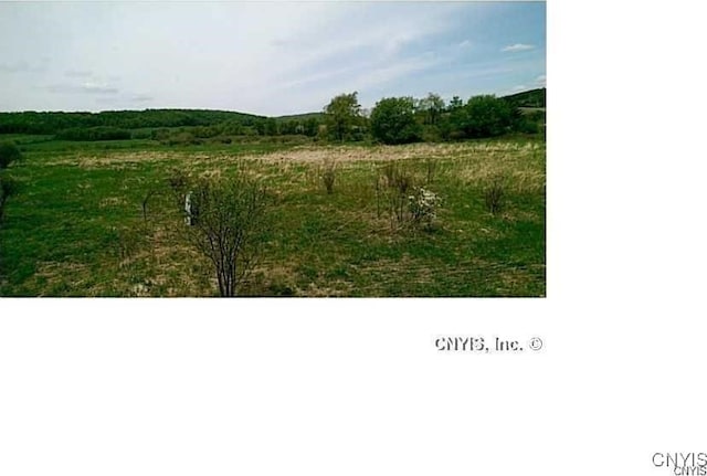 0 Rte 392, Virgil NY, 13045 land for sale