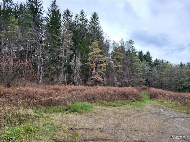 US Route 219, Ellicottville NY, 14731 land for sale