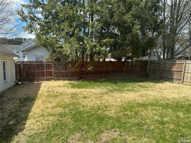 20 Pearl St, Bainbridge, NY 13733 - view of yard