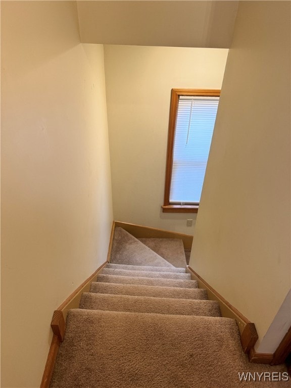 stairs featuring carpet floors